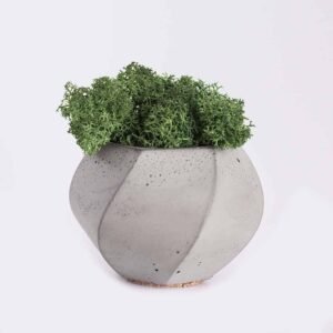 Tienda plant4 free img