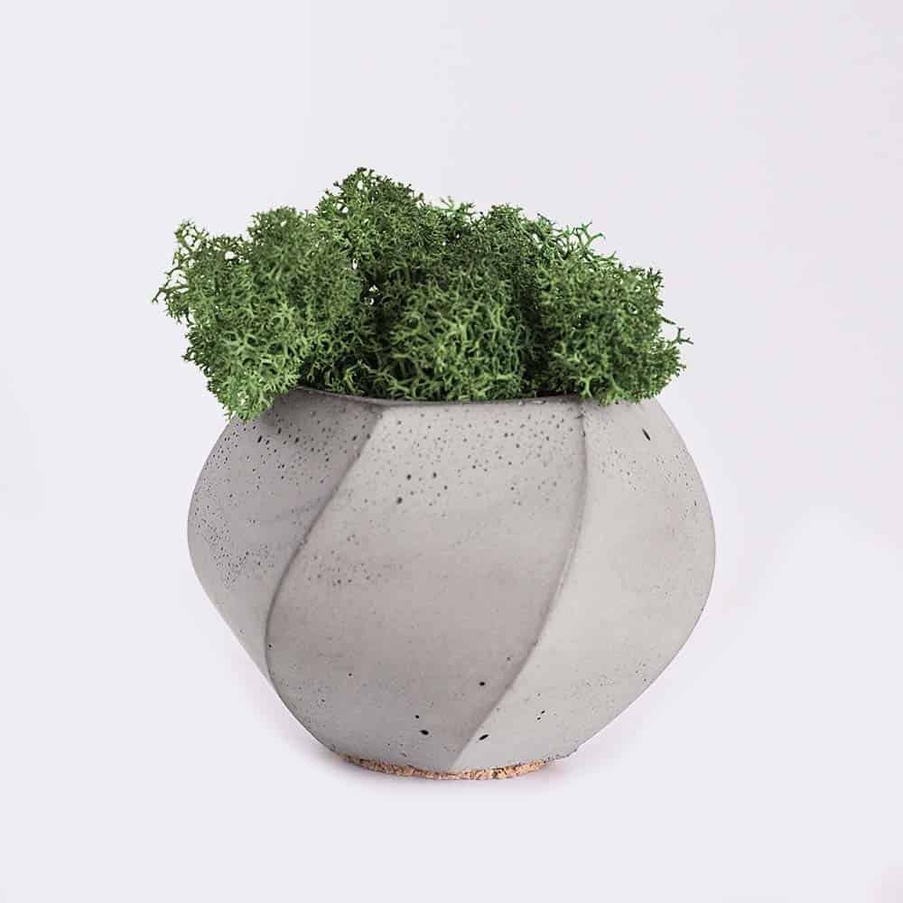 Tienda plant4 free img